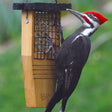 Cedar Suet Tail Prop Bird Feeder with a woodpecker clinging to the suet cake, showcasing the tail prop design and wire mesh sides.