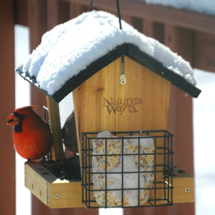 Cedar 3QT Hopper Bird Feeder with Suet, featuring a cardinal eating at the feeder, designed for easy cleaning and accommodating large birds.