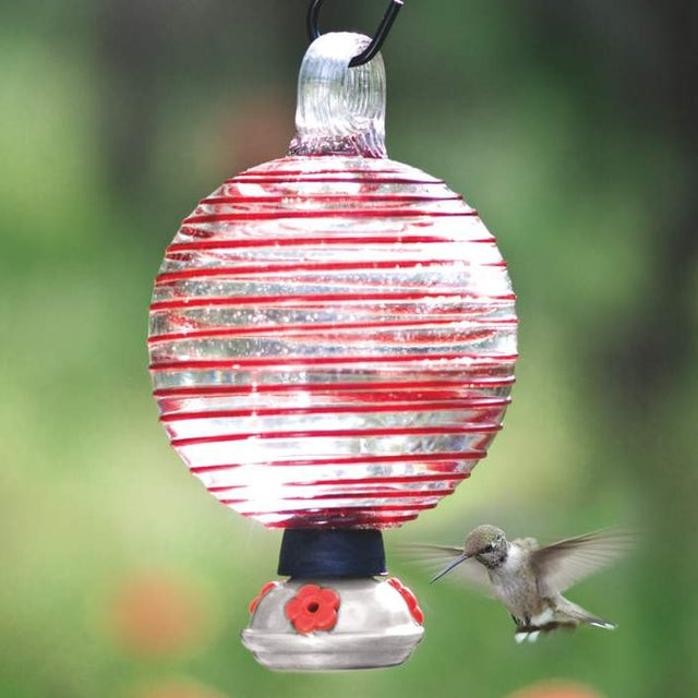 Dew Drop Ribbon Hummingbird Feeder: A handblown glass feeder with three red flower ports, showing a hummingbird feeding and hovering near the clear nectar reservoir.