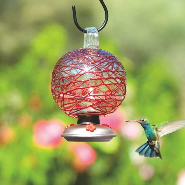 Dew Drop Hummingbird Feeder, Spun Sugar Red, with three red flower ports and a clear glass reservoir, attracting a hummingbird in flight.