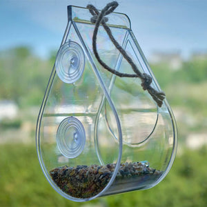 Dewdrop Window Feeder: A clear Perspex bird feeder with a hanging rope and suction cups for window attachment, offering an unobstructed view of feeding birds.