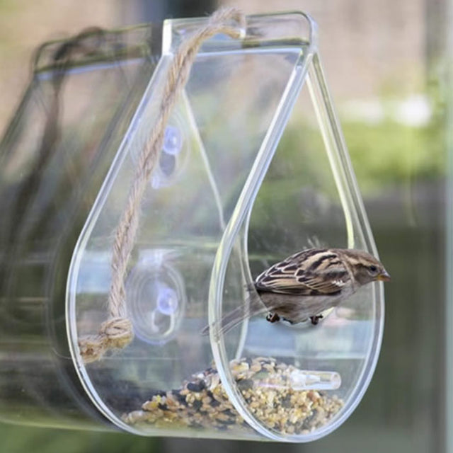 Dewdrop Window Feeder: A sparrow feeds from a clear Perspex feeder attached to a window with suction cups and a hanging rope, offering unobstructed bird-watching views.