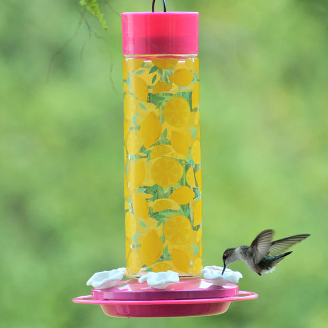 Hummingbird Lemonade Stand Feeder featuring multiple feeding ports and a built-in perch ring, designed to support childhood cancer research.