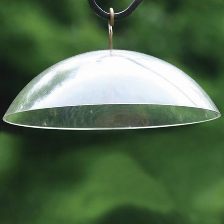 Clear Weather Dome: A clear plastic dome mounted on a black pole, designed to protect nectar feeders from rain and snow, ensuring dry feeding for hummingbirds and orioles.