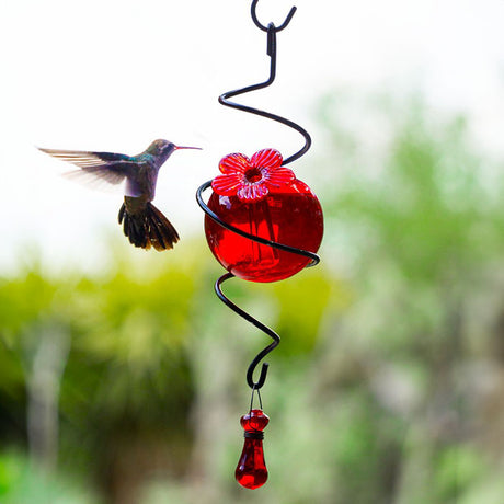 Droplet Spiral on a Hook Hummingbird Feeder, Red, featuring a red glass nectar sphere in a black wire holder with a hummingbird feeding.