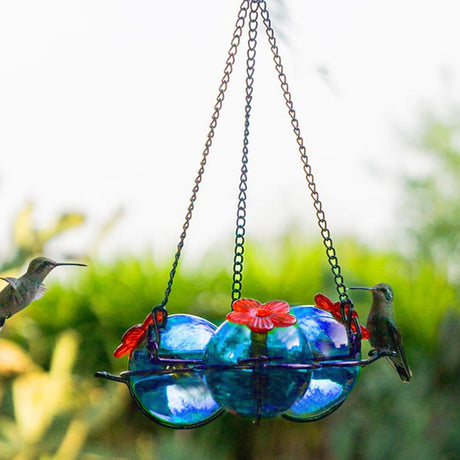 Droplet Perch 3 Hummingbird Feeder with blue glass nectar spheres and red flower feeding ports, hanging outdoors with hummingbirds feeding.