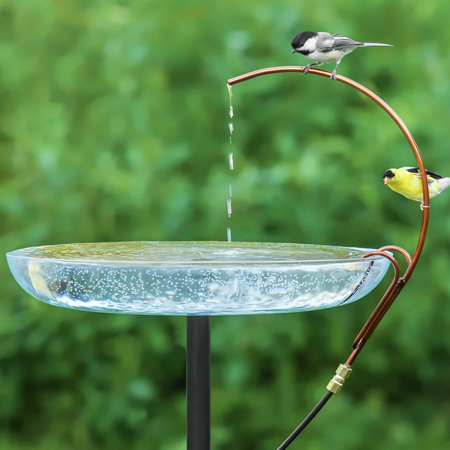 Universal Dripper showcased with chickadee and goldfinch perched on a copper tube, drips water into a glass basin, enhancing your birdbath's appeal.