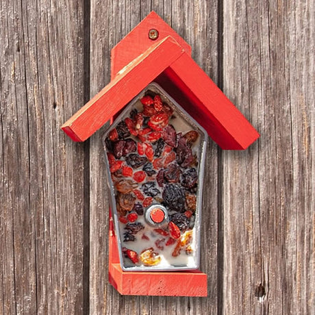 Birdie Bistro DIY Bird Feeder with dried fruits, featuring a wooden house design and sustainable materials for backyard birdwatching.