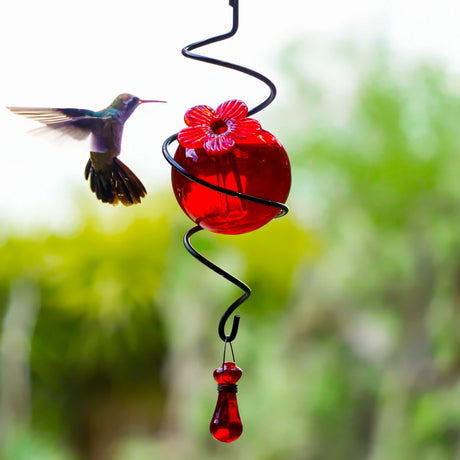 Droplet Spiral on a Hook Hummingbird Feeder, Red, features a spherical design with a flower-shaped port, hanging from a black spiral, ideal for attracting hummingbirds.