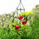 Droplet Spirals 3 Hummingbird Feeder: A mobile with three red glass nectar spheres in a black wire holder, designed to attract and feed hummingbirds in your garden.