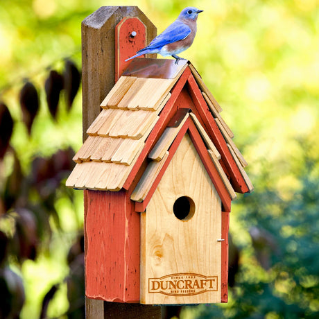 Duncraft Bluebird Manor House, Redwood: Wooden birdhouse with shingled roof, copper peak, and front opening for inspection. Ideal for attracting bluebirds. Mounted on a garden post.