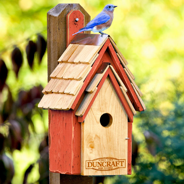 Duncraft Bluebird Manor House, Redwood: Wooden birdhouse with shingled roof, copper peak, and front opening for inspection. Ideal for attracting bluebirds. Mounted on a garden post.