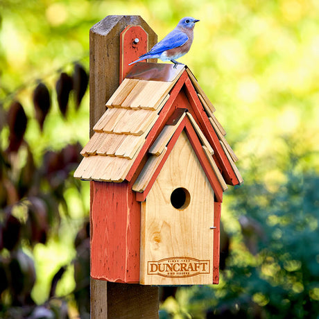 Duncraft Bluebird Manor House, Redwood, featuring a perched bluebird on a wooden birdhouse with a shingled roof and copper peak.