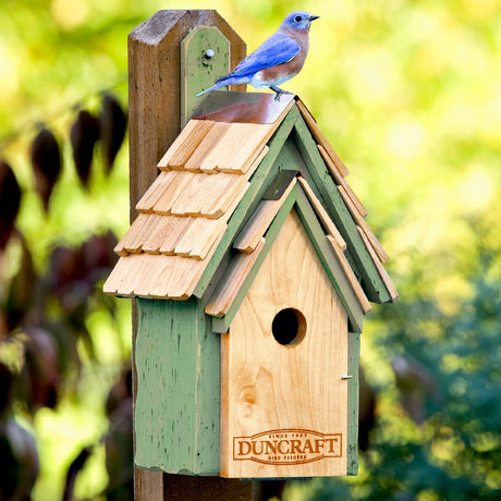 Duncraft Bluebird Manor House, Sage: Wooden birdhouse with a shingled roof, bluebird perched on top, entry hole in front, and DUNCRAFT logo visible.