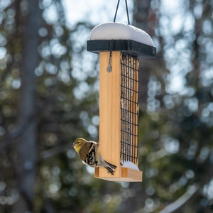 Cedar Double Suet Tail Prop Feeder