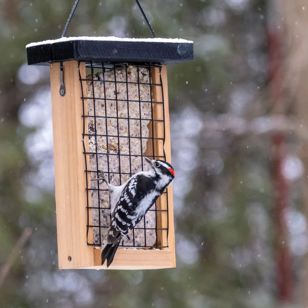 Cedar Double Suet Tail Prop Feeder