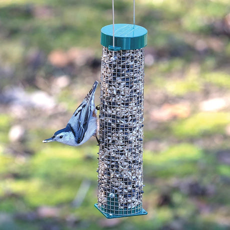 Duncraft Mini Mesh Feeder with a white-breasted nuthatch feeding, features wire mesh for unlimited clinging spots, holds up to 1 lb. of seed.