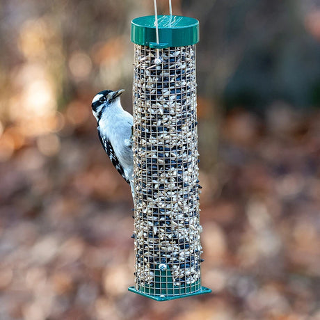 Duncraft Mini Mesh Feeder with a Downy Woodpecker clinging, features metal mesh for unlimited feeding, stocked with peanuts and sunflower seeds.