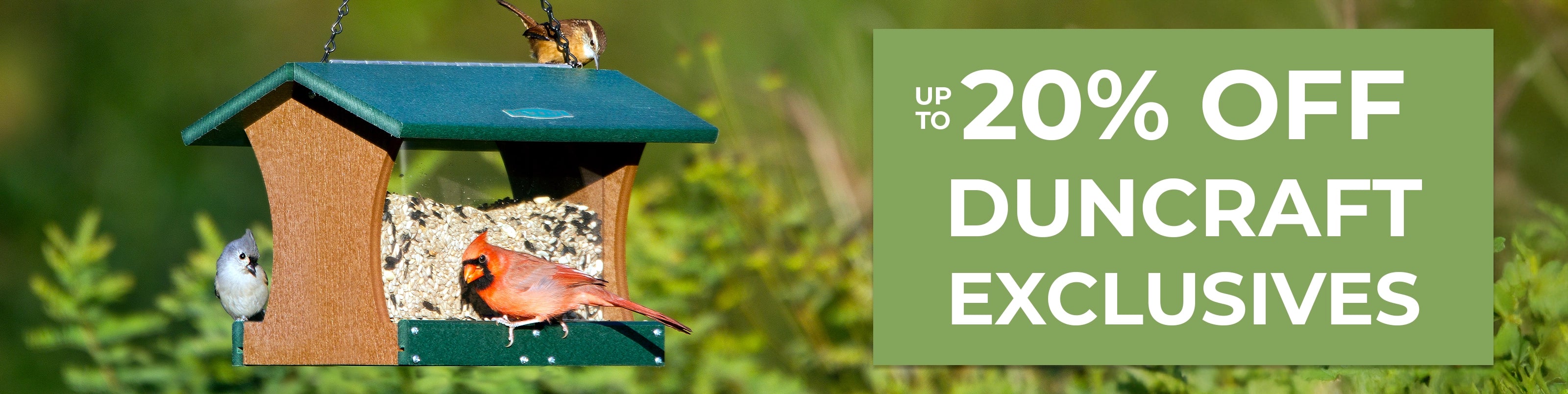Bird feeder with birds on a blurred natural background, featuring a promotional banner for Duncraft exclusives. Up to 20% OFF