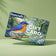 Duncraft gift card with a bluebird design on a green background