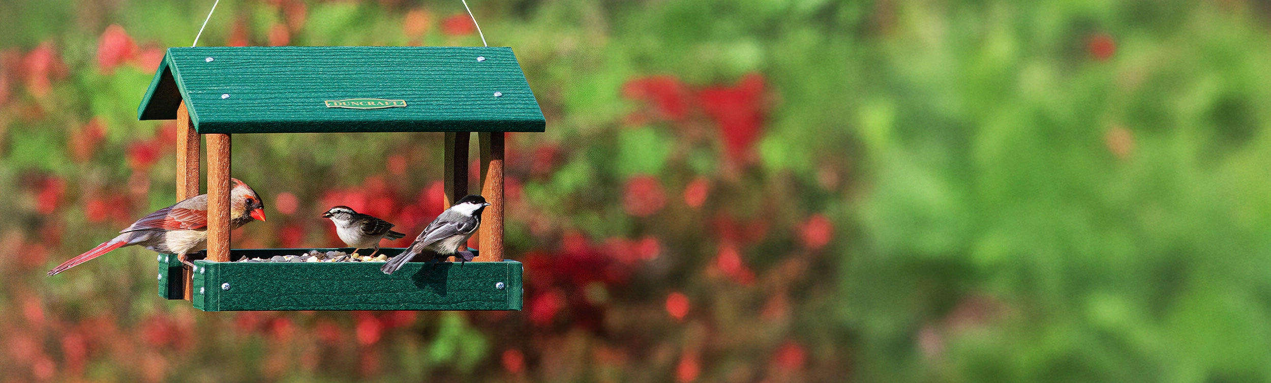 Green bird feeder with birds on a blurred natural background