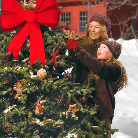 Two people decorating a Christmas tree with a large red bow in a snowy outdoor setting with treats for the birds. 