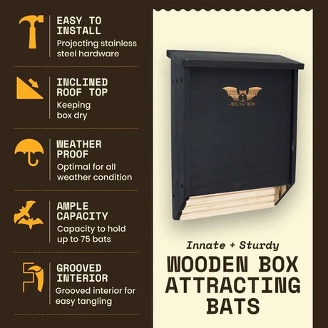 Two-Chamber Bat House, Black: Wall-mountable wooden box with grooved interior, inclined roof, and weatherproof design for sheltering up to 75 bats. Includes installation hardware.