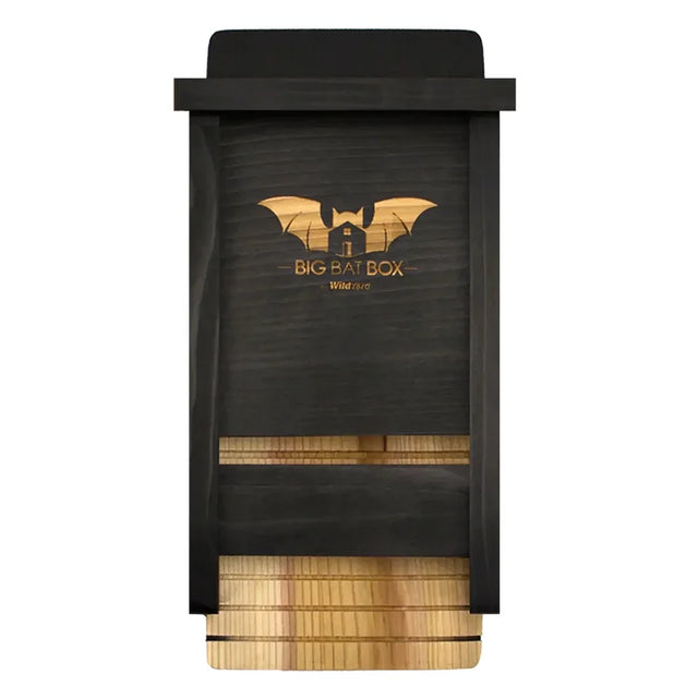 Single Chamber Bat House, Black, features a cedar construction with ventilation slots, rough landing strip, and bat silhouette, ideal for eco-friendly backyard mosquito control.
