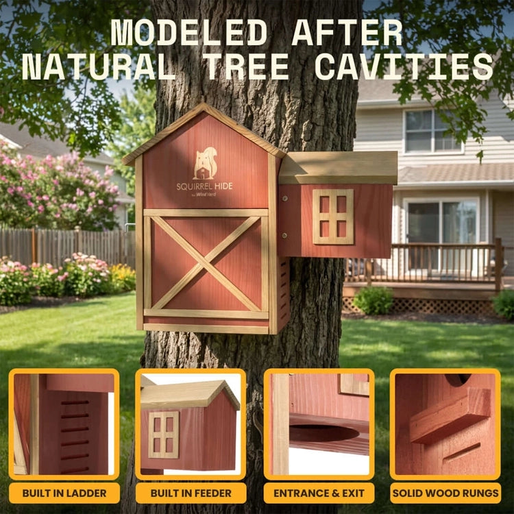 A red and natural wood squirrel house mounted on a tree in a backyard setting, with text reading 'MODELED AFTER NATURAL TREE CAVITIES' and four inset detail panels showing built-in ladder, feeder, entrance/exit, and solid wood rungs.