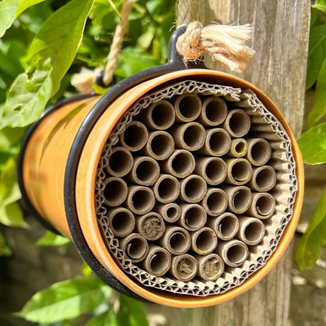 Eco Bee Nester, a natural-material insect house with multiple tubes, mounted on a tree, designed to attract and shelter solitary bees for effective garden pollination.