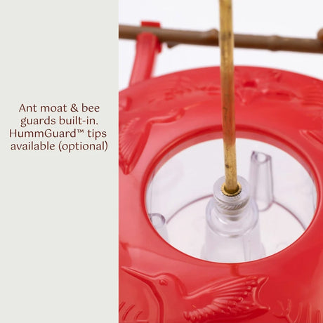 Red bird feeder with ant moat and bee guards, showing a close-up of the design.