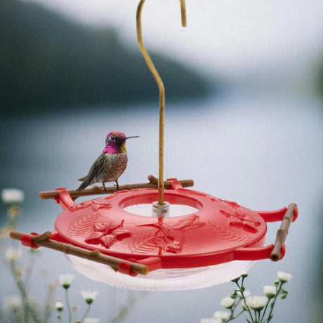 Hummingbird perched on a red hummingbird feeder with a blurred natural background