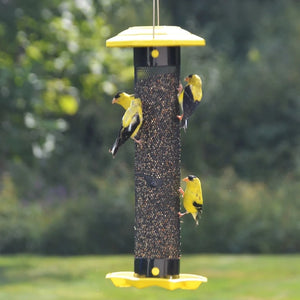 Funnel Flip-Top Mesh Finch Feeder with birds perched, featuring a tube design and easy-fill funnel. Ideal for attracting finches with its Even Feed™ baffle.