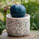 Georgie Chinoiserie Fountain: A tabletop ceramic fountain featuring a blue patterned base and a ribbed orb on top where water bubbles and trickles down.