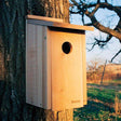 Woodlink Flicker House mounted on a tree, featuring a 2-1/2 inch entry hole, built-in ladder, and ventilation for flickers to nest and fledge safely.