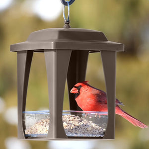 Nature's Way Dine-in Hanging Plastic Fly Through Bird Feeder