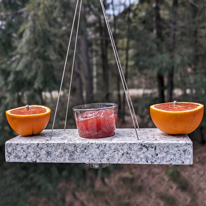 Fruitful Oriole Orange & Jelly Feeder with glass dish for bird treats and two metal dowels holding orange halves, crafted from reclaimed granite.