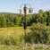 Squirrel-Proof Super Tall Quad Hanger featuring a three-arm pole with squirrel baffle, set in a grassy outdoor area, holds multiple bird feeders.