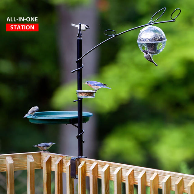 Deck Station with Bird Bath, Dish, and Feeder featuring birds perched and eating, mounted on a wooden deck railing with a clear view of the feeder and accessories.