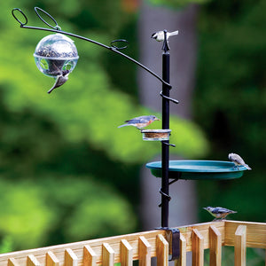 Deck Station with Bird Bath, Dish and Feeder clamped to deck, featuring chickadee on globe feeder, robin on dish, titmouse at saucer, and nuthatch on railing.