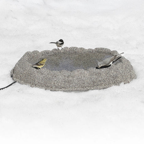 Heated Ground Bird Bath on snow with three songbirds: American goldfinch, black-capped chickadee, white-breasted nuthatch, using the bird-friendly design with electric cord visible.