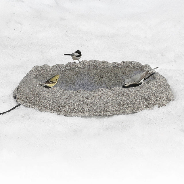 Heated Ground Bird Bath on snow with three songbirds: American goldfinch, black-capped chickadee, white-breasted nuthatch, using the bird-friendly design with electric cord visible.