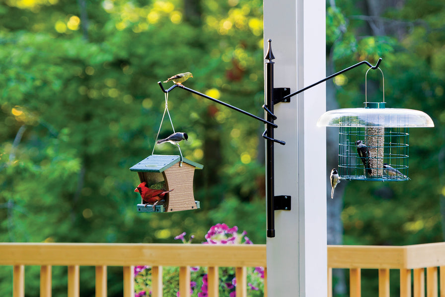 Duncraft Bird Feeders in Backyard