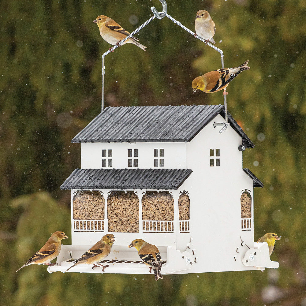 White Farmhouse Bird Feeder with a snowy background and goldfinch perched on it. 