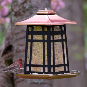 Copper Arches Metal Gazebo Feeder with a red-headed bird perched, designed for various bird sizes, features drainage holes, and easy filling with a lift lid.