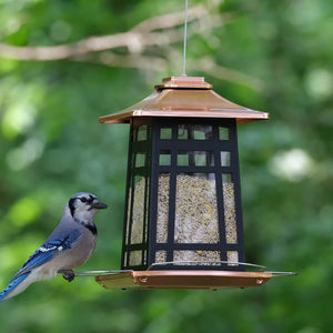 Copper Arches Metal Gazebo Feeder with a blue jay perched on it, showcasing its spacious design and large feeding area for various birds.