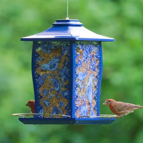 Nature's Way Paisley Sky Gazebo Metal Bird Feeder with birds perched on it, showcasing multiple feeding openings and an extended perch area.