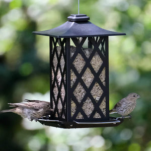 Contemporary Lantern Metal Gazebo Feeder with birds perched on it, showcasing spacious perches and a channeled base for optimal drainage and seed freshness.