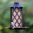 Contemporary Lantern Metal Gazebo Feeder with a bird perched on it, showcasing ample perching space and drainage holes for fresh seed.