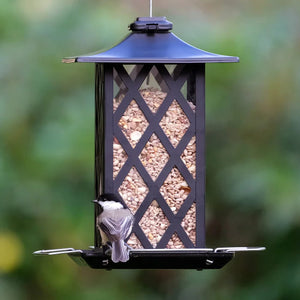 Contemporary Lantern Metal Gazebo Feeder with a bird perched on it, showcasing ample perching space and drainage holes for fresh seed.